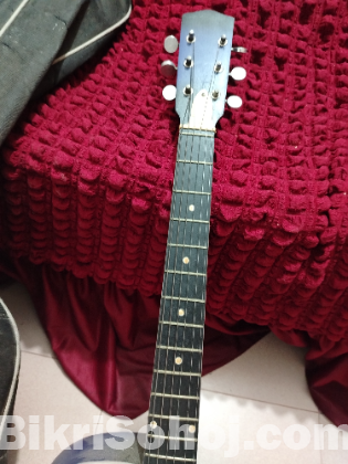 Guitar